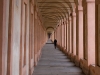 carpi_2
